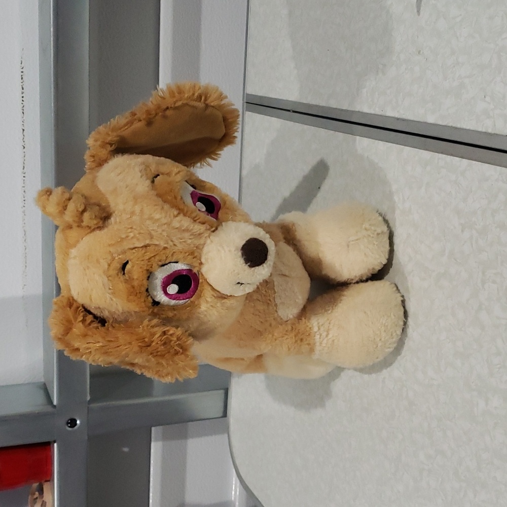 Build‎ A Bear Nickelodeon Plush Stuffed Toy Skye Paw Patrol Puppy Dog